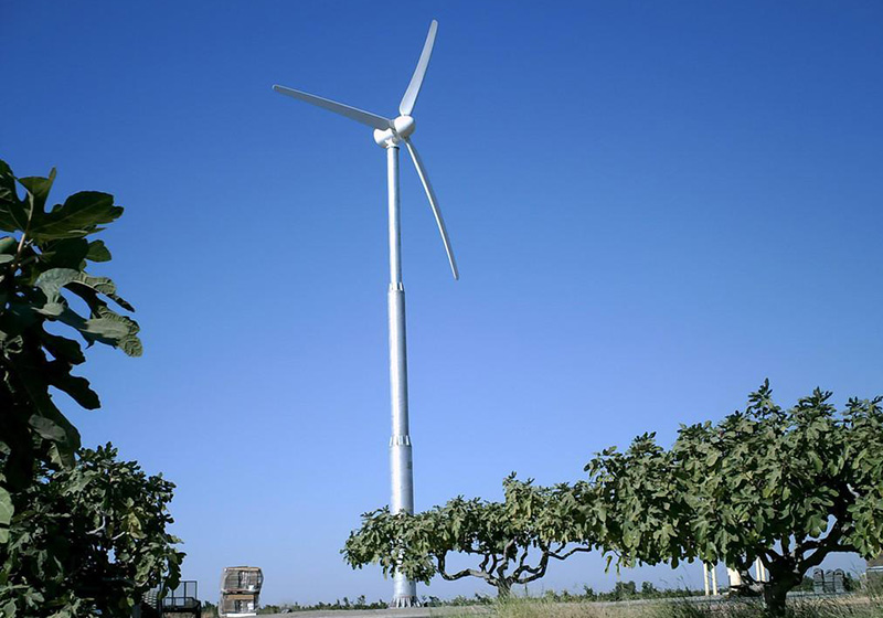 5ff52278b35fc.jpg 01.jpg