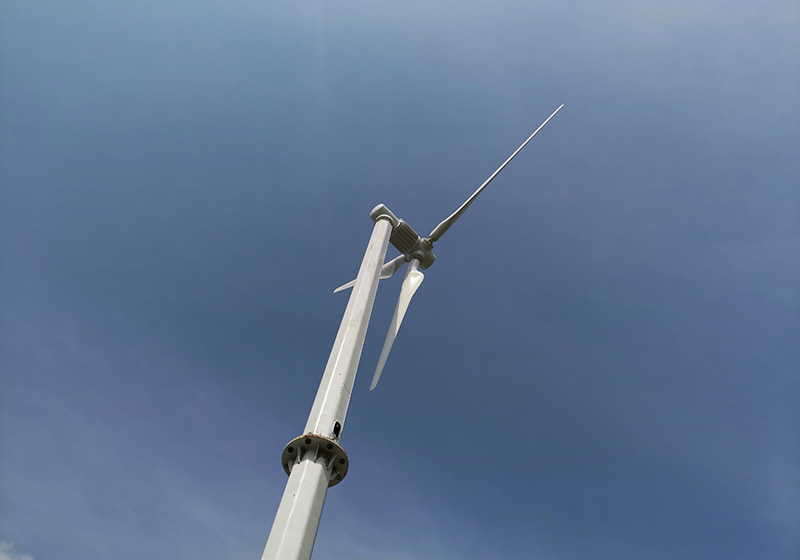 66b44930b72ac.jpg 01.jpg